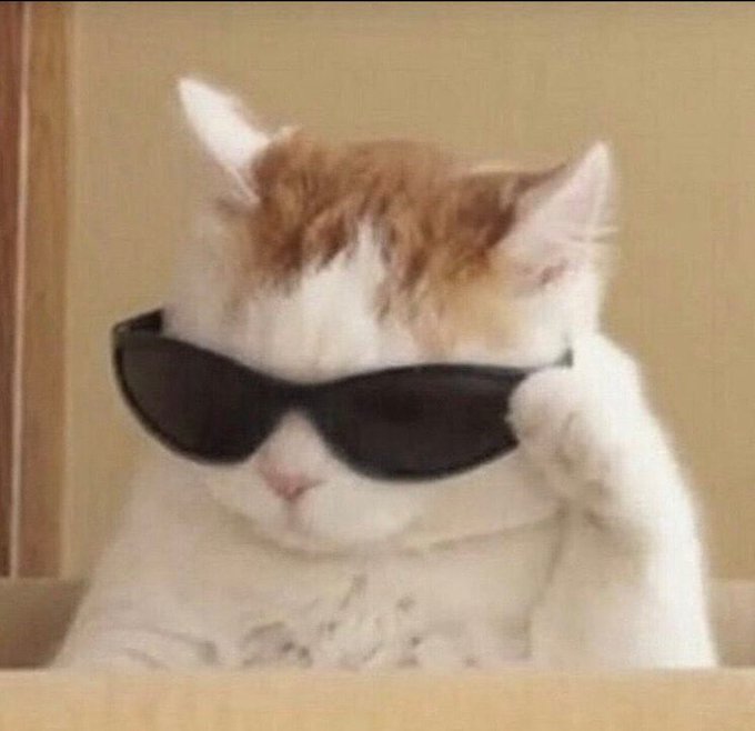 My bf doesn&rsquo;t believe me when I tell him the only reason I use Twitter as frequently as I do is for the