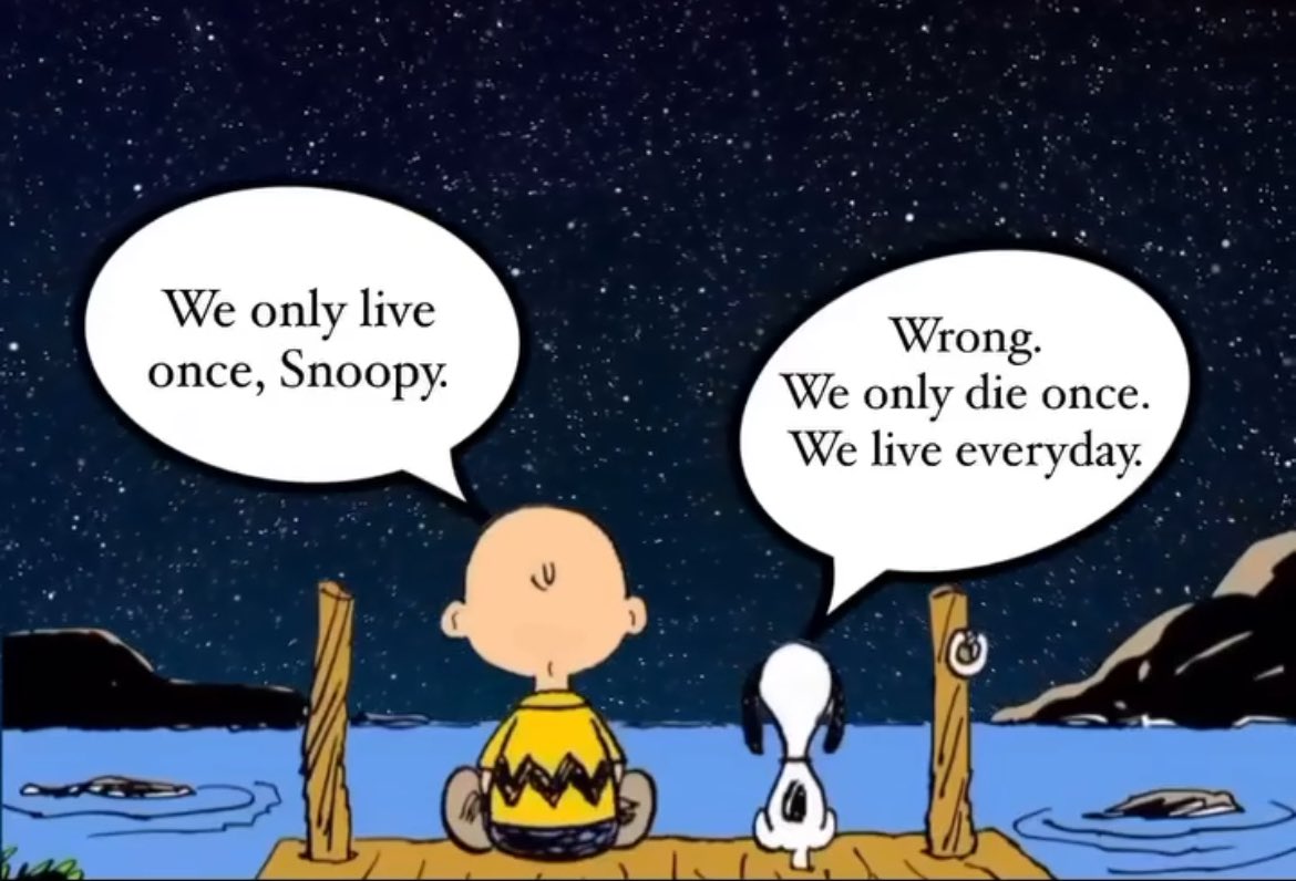 Nikita Anand tweet media