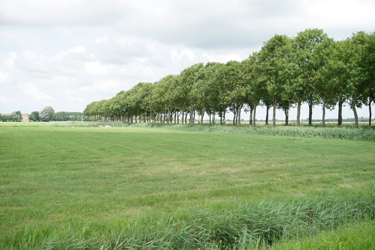 Tpzijl's tweet photo. #zomervakantie
#fotozomerweken
@jolandabrwr
Rondje Friesland
#Hetbildt https://t.co/PiXbgPaeHC