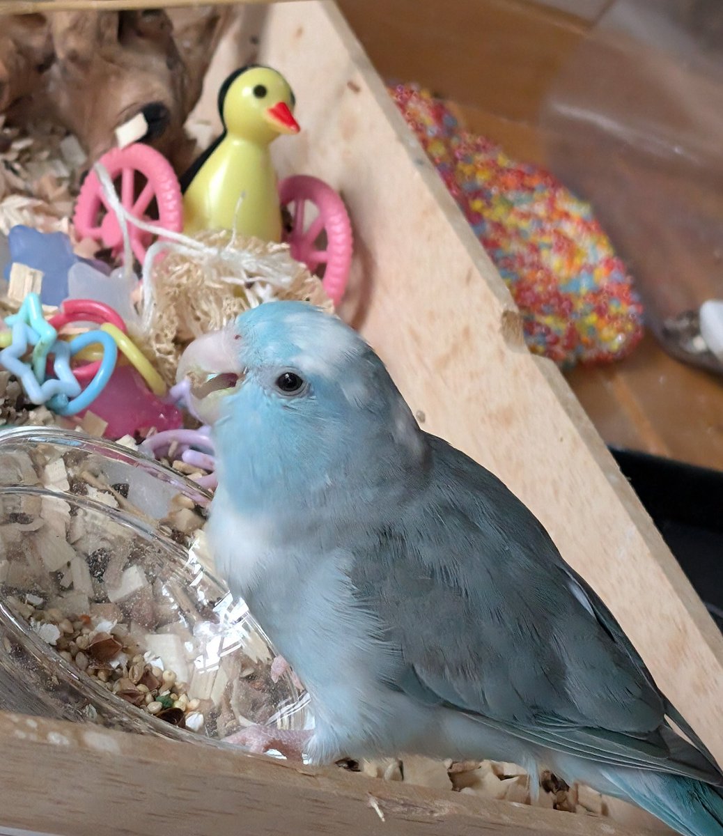 相変わらず元気です