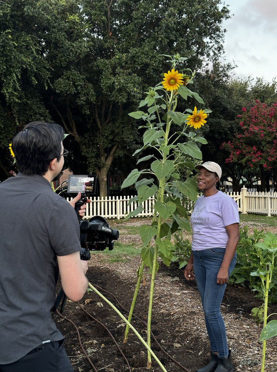 minervaco's tweet image. Video shoots allow us to capture the heart of our clients&apos; stories. Here&apos;s a snapshot from our latest one with @nfnlnews at #LibertyStreetGarden! 🎥

#MinervaClient #WorkInspired