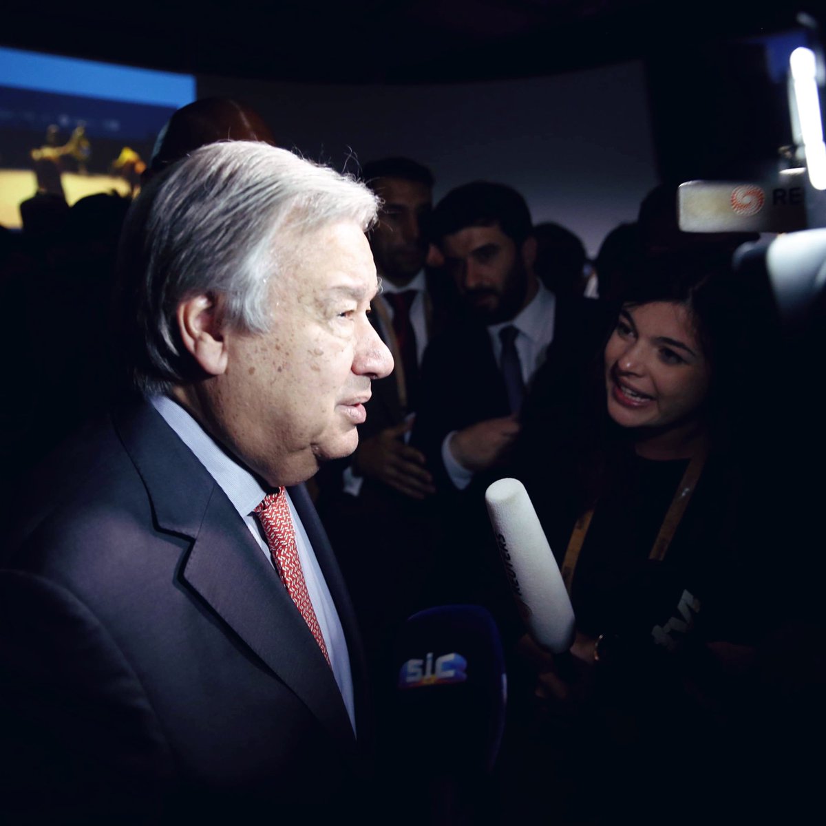 Catarina Demony tweet media