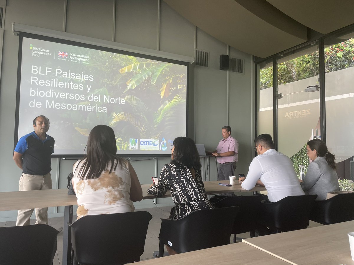 DavidLelliottUK's tweet photo. Excelente reunión informativa con otros donantes y cooperantes de El Salvador 🇸🇻 para presentar nuestro 🇬🇧 nuevo programa en El Trifinio del Fondo de Paisajes Biodiversos y empezar a coordinar actividades. #BLFsv #BiodiverseLandscapesFund https://t.co/OEHq2lefDG