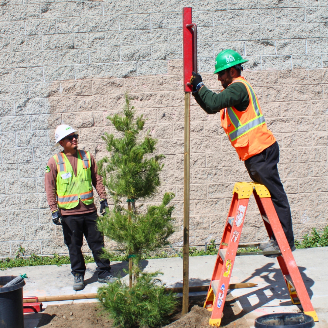 LA ConservationCorps tweet media