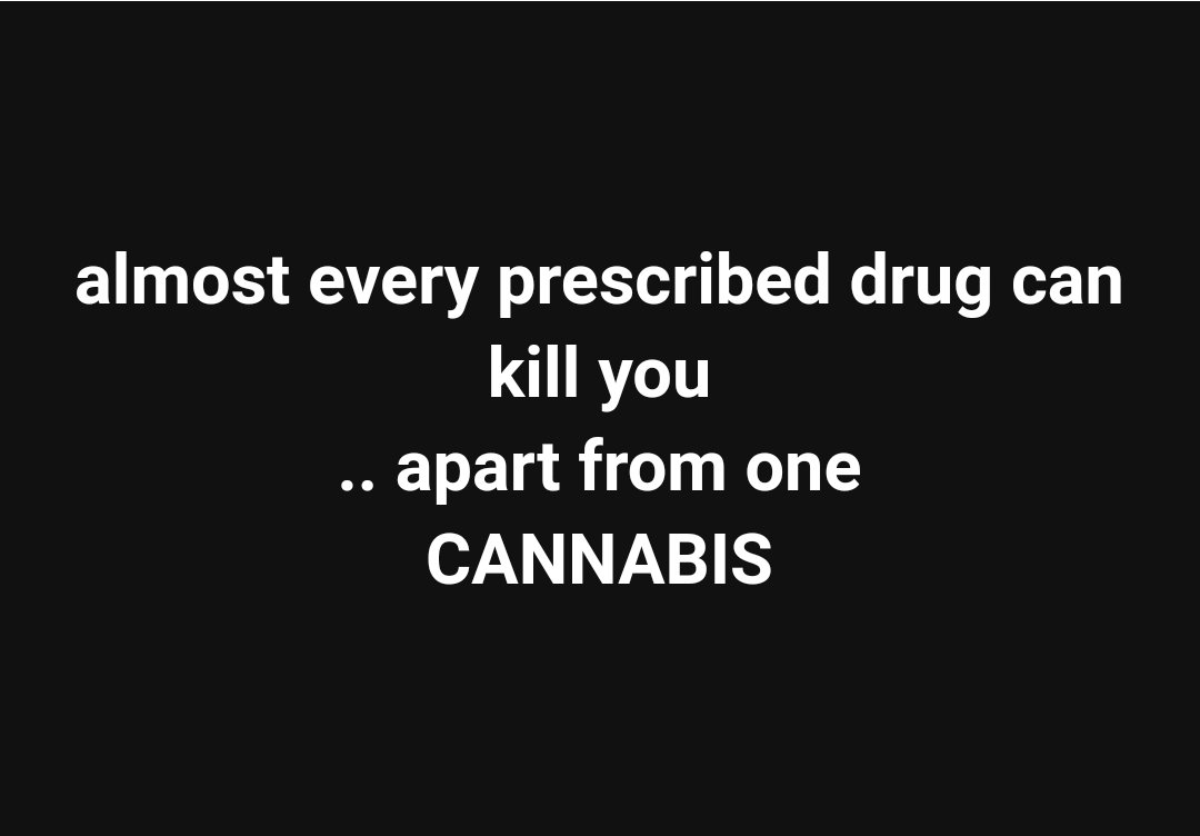 CannabisTiny's tweet photo. ..and yet here we are,  in the middle of a prohibition era..... https://t.co/WZnlRigKkh