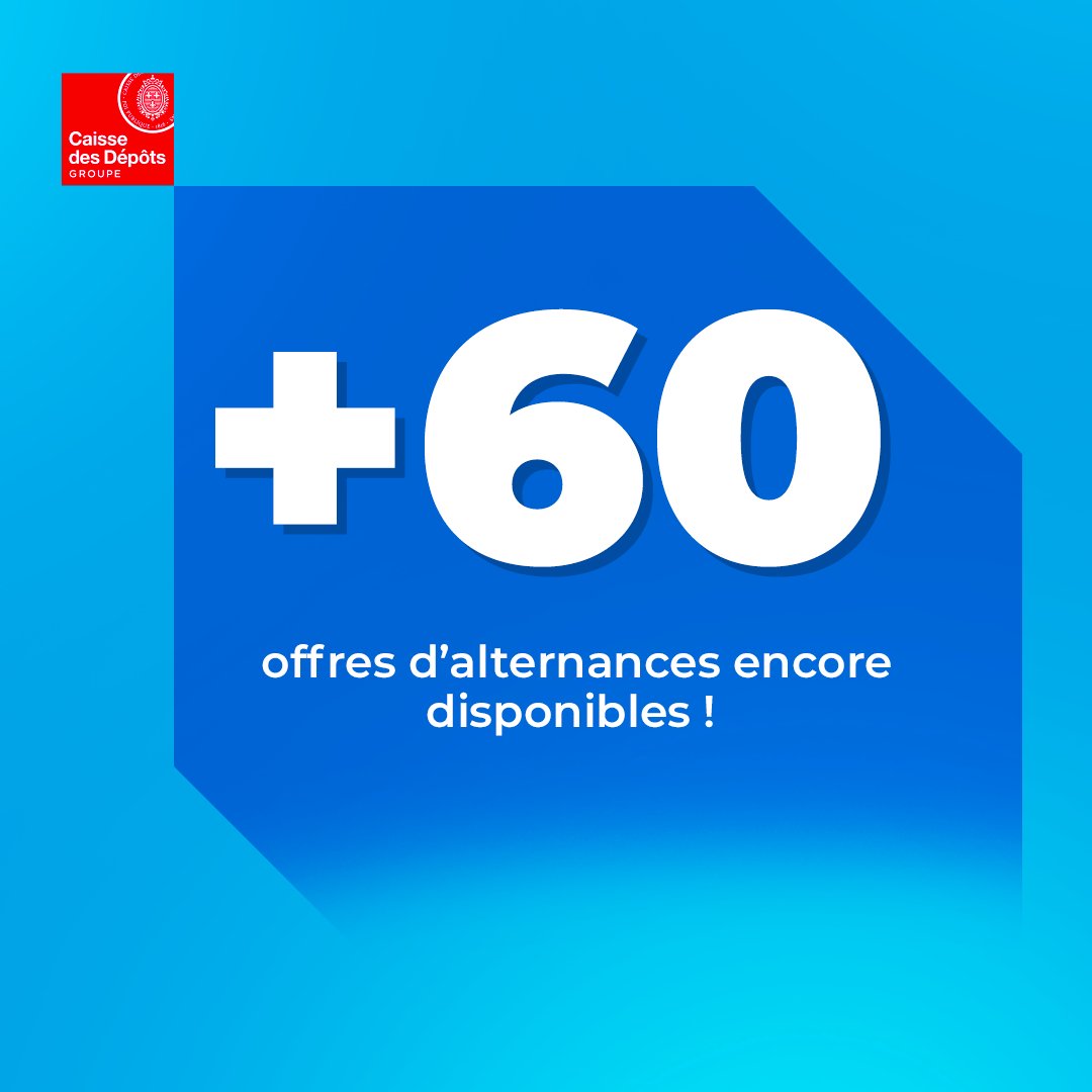 caissedesdepots's tweet photo. Institution publique engagée recherche #apprentis motivés ! 🤝
Il reste des postes de niveau Bac à Bac+5 dans de nombreux domaines !
Rdv ici pour #postuler👉https://t.co/qXppPtzHvF https://t.co/Deis2xpJ8I