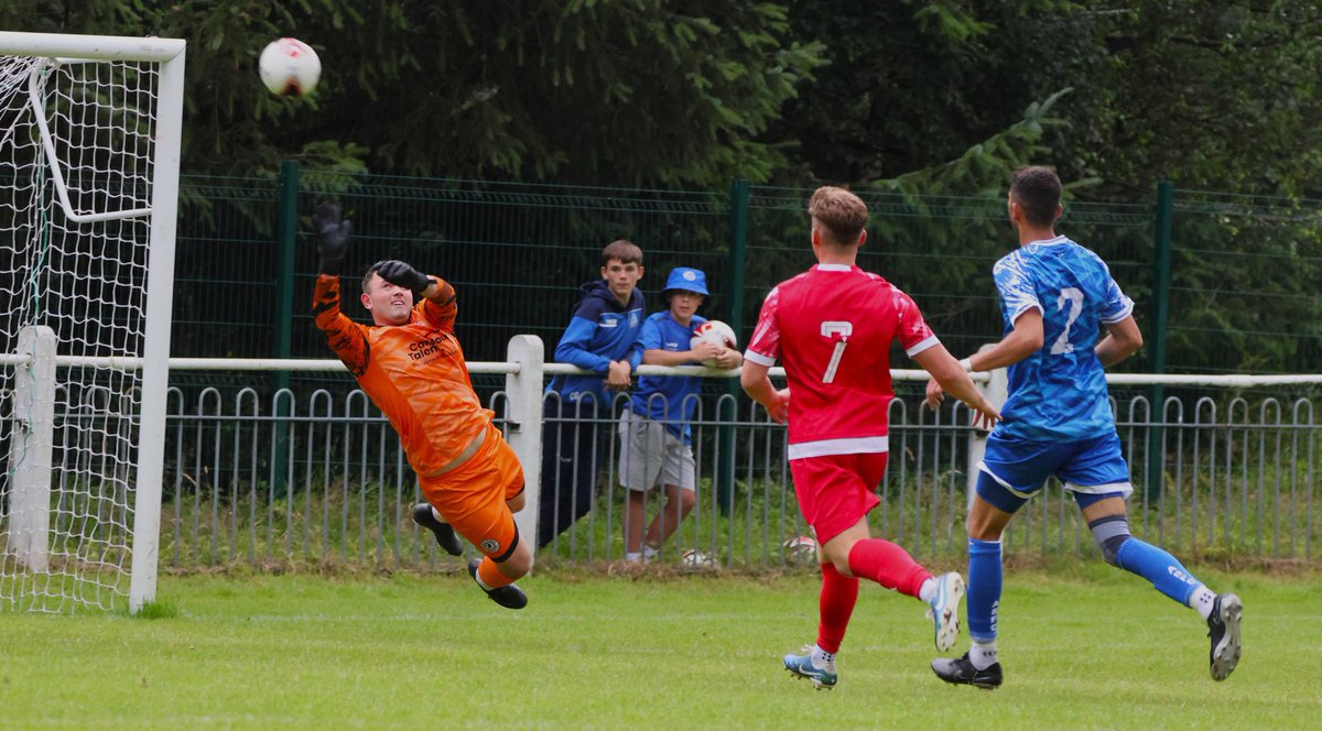 Brandon Powell tweet media