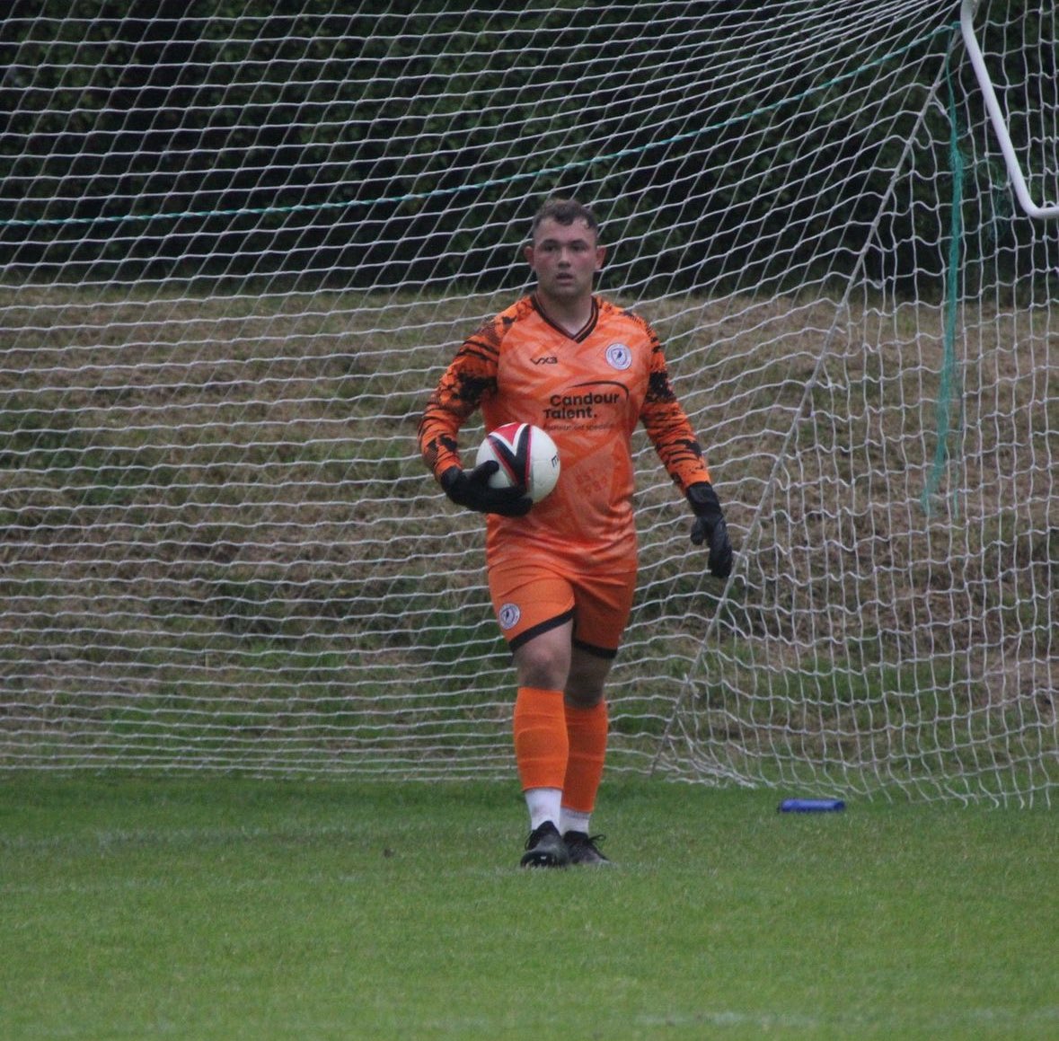 Brandon Powell tweet media