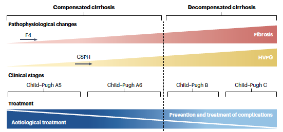 ReibergerThomas's tweet photo. ❓Best Trial Design in #MASLD #MASH #Cirrhosis
🎯Adapted Endpoints according to Target Population
🧑⚖️@US_FDA 💊#EMA Guidance
🩸#Varices as #OrdinalOutcomes
@NatRevGastroHep 📕https://t.co/aIy5L11YoN https://t.co/zEDGhOglnw