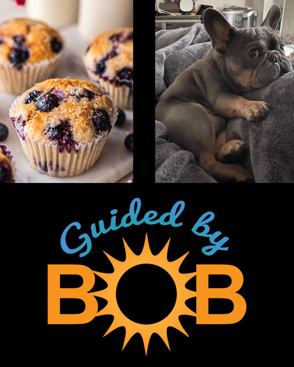 S3EP3 - (Blueberry Muffin) is available to download.

Thanks for listening! 

#podcast #guidedmeditation #meditate #meditation #guidedbybob #guidedvisualization #comedy #funny #soundediting #sounddesign #soundscape #mentalhealth #mindfulness #calm #blueberrymuffin #frenchbulldog