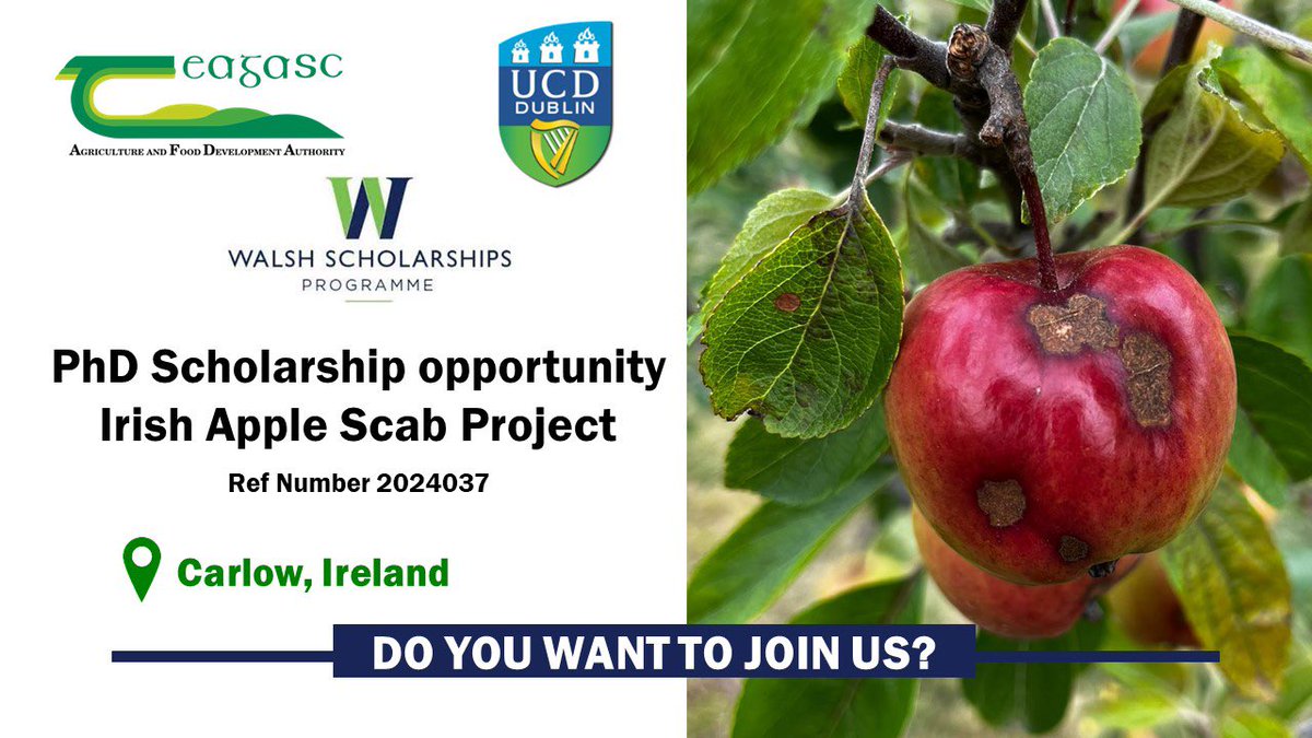 🌟 PhD Scholarship Alert! 🌟

🔬 Exciting opportunity at <a href="/teagasc/">Teagasc</a> &amp; <a href="/ucdagfood/">UCD School Ag & Food</a> to research apple scab! Dive into fungicide sensitivity, virulence, and genomics of Venturia inaequalis.

📧 see details at teagasc.ie/media/website/…

📅 Apply by: August 5th, 2024

#PhDScholarship