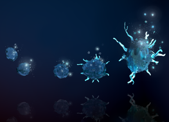 Dive into the world of Orthobiologics with us! Your chance to enhance your medical knowledge is here. Don't miss out! 💉🧑‍⚕️📚

bit.ly/3zYydec