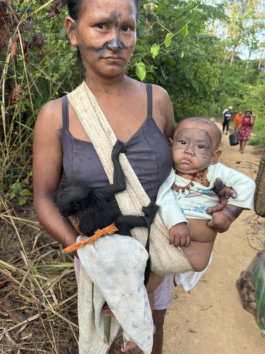 Alessandra korap Mdk (@alkorap1) on Twitter photo Admiração de uma mãe com seu filho,desde cedo já ensina o que é defender o território✊🏽 já andaram mais de 50 km no meio da floresta✊🏽
Aqui ninguém se negocia, não arrendamento de terras indígenas,não mineração nas terras indígenas
Não a PeC48/23
Marco Temporal NÃO
<a href="/ApibOficial/">Apib Oficial</a> Admiração de uma mãe com seu filho,desde cedo já ensina o que é defender o território✊🏽 já andaram mais de 50 km no meio da floresta✊🏽
Aqui ninguém se negocia, não arrendamento de terras indígenas,não mineração nas terras indígenas
Não a PeC48/23
Marco Temporal NÃO
<a href="/ApibOficial/">Apib Oficial</a>