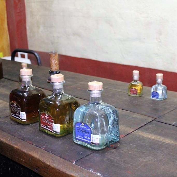 It's National Tequila Day! Have yourself a margarita...or a tequila sunrise...or both!
#NationalTequilaDay #margarita #tequilasunrise #tequila #tequilas #eattheworm