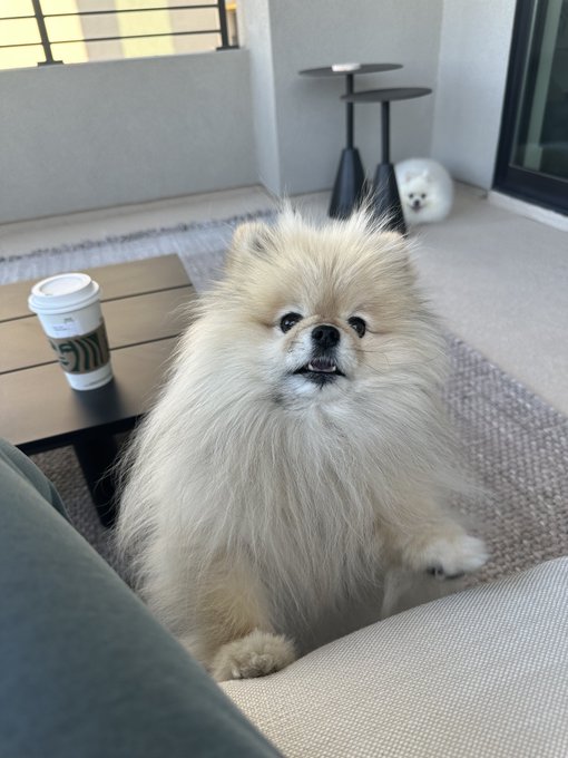 Good morning! https://t.co/aWIPGfrsmr<a href="/tag/coffeewithnikki"class="tags"><span>#coffeewithnikki</span></a>