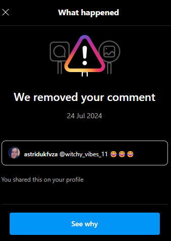 So <a href="/instagram/">Instagram</a> removed this comment made on a friend's post because it went against their community standards. You really want the world to be miserable sods. Don't you? You could learn a thing from <a href="/elonmusk/">Elon Musk</a> in allowing people to express themselves.