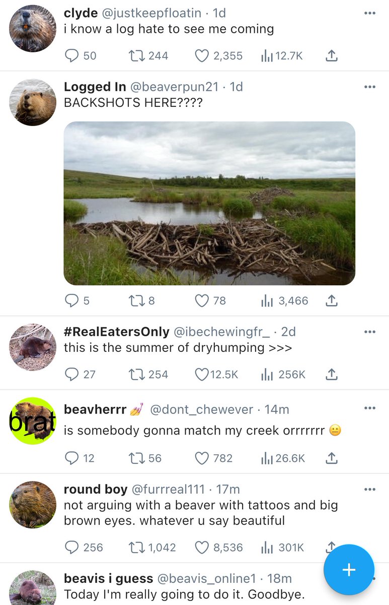 eric curtin tweet media