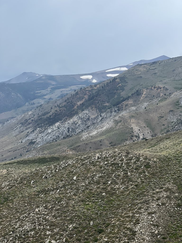 michelemccarrol's tweet photo. Still snow in California #MonoPass https://t.co/vaPNeEwRxQ