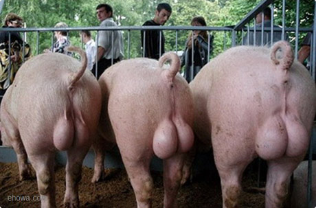 #FAFO  And they did.