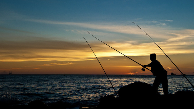 University of Hawaii at Manoa (@uhmanoa) on Twitter photo 🎣 <a href="/himb_soest/">Hawai‘i Institute of Marine Biology</a> scientists found Marine Protected Areas are fostering larger "trophy-size" fish nearby, with benefits intensifying over time, based on a pioneering global assessment published in <a href="/ScienceAdvances/">Science Advances</a> ➡️ bit.ly/4cVNxGO #UHMResearch 🎣 <a href="/himb_soest/">Hawai‘i Institute of Marine Biology</a> scientists found Marine Protected Areas are fostering larger "trophy-size" fish nearby, with benefits intensifying over time, based on a pioneering global assessment published in <a href="/ScienceAdvances/">Science Advances</a> ➡️ bit.ly/4cVNxGO #UHMResearch