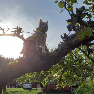 qual cc final <a href="/GudnBre/">Gudnbre</a>