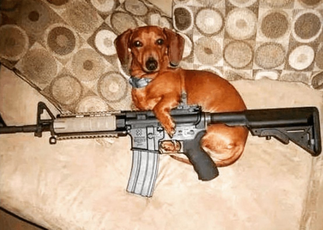 FreckledLiberty's tweet image. stop and drop me your spiciest memes right this fucking second 😤