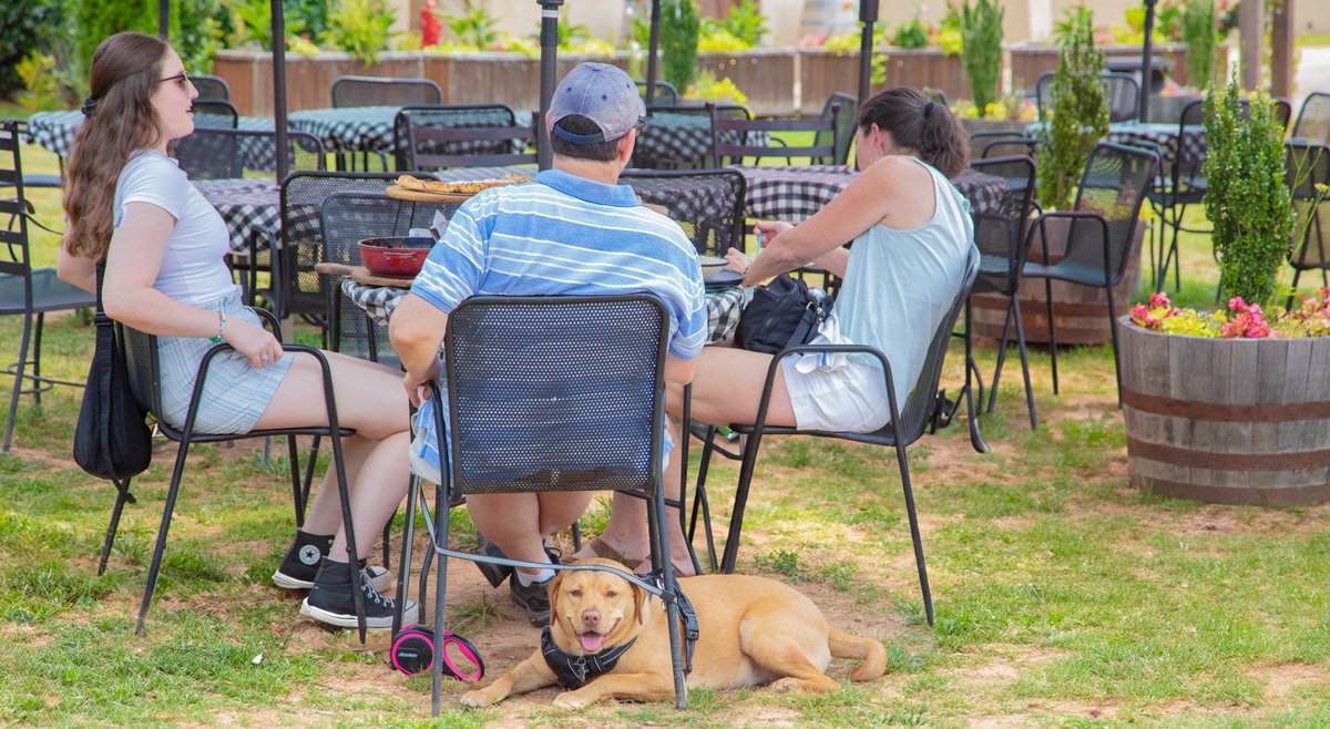 LOCAL LOVE WEDNESDAY ❤️ Bringing smiles to Lumpkin County, where even our furry friends get 20% off all day! 🐶❤️ #trattoriadimontaluce #locallovewednesday #lumpkincounty #foodie #petfriendlyrestaurant #eplorepage