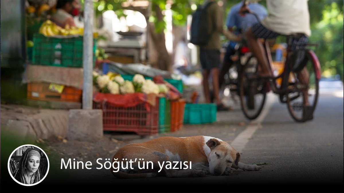 t24comtr's tweet photo. ✍️ Mine Söğüt yazdı:

📌 Hayırsız ülke

https://t.co/M526lxySWw https://t.co/uz25rZEGVB