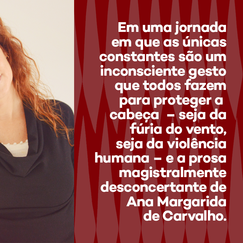 Deslize pelas imagens e se choque com a prosa luxuosamente brutal da portuguesa Ana Margarida de Carvalho – escritora que, como costumamos dizer, escreve romances para GENTE GRANDE 📚🤩 Descubra esse e os outros lançamentos de inverno em dublinense.com.br