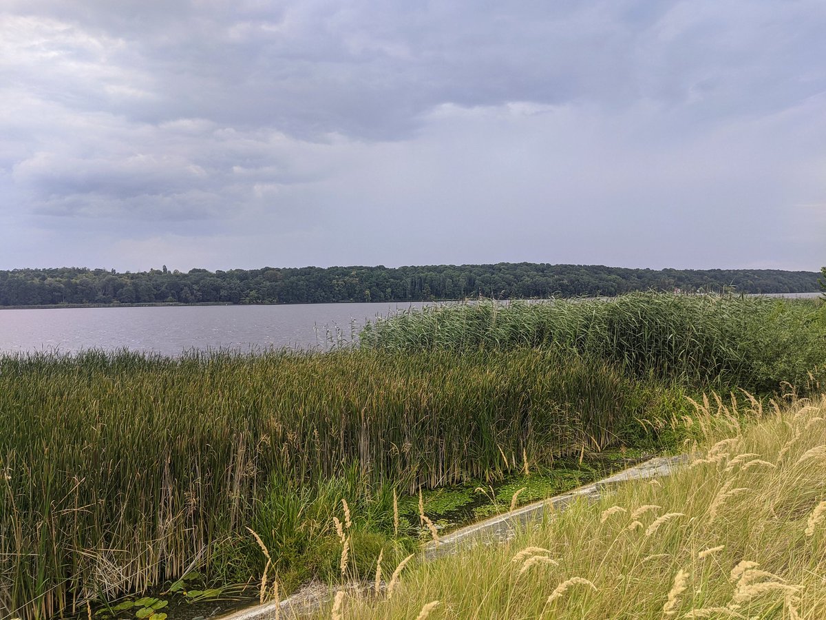 #stepn activation code: 55359930
t.me/stepnpoland polska grupa telegram o tematyce stepn