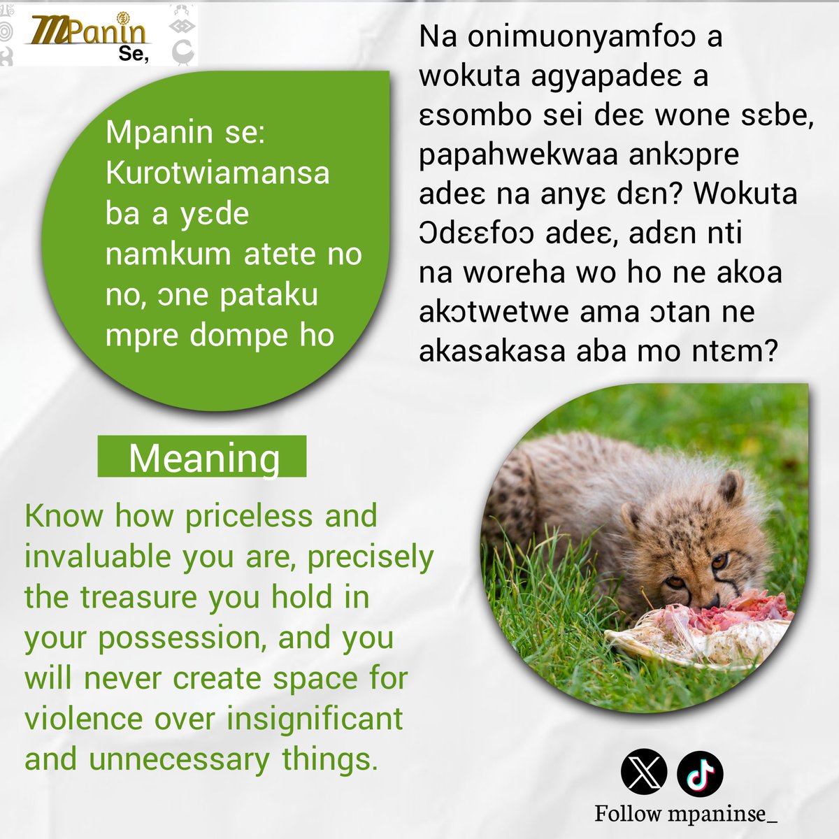 MpaninSe_'s tweet photo. Know how priceless and invaluable you are,and you will never create space for violence over insignificant and unnecessary things.
#mpaninse #Akanproverbs #viralvideo #fypppppp https://t.co/uNKLAMok9G
