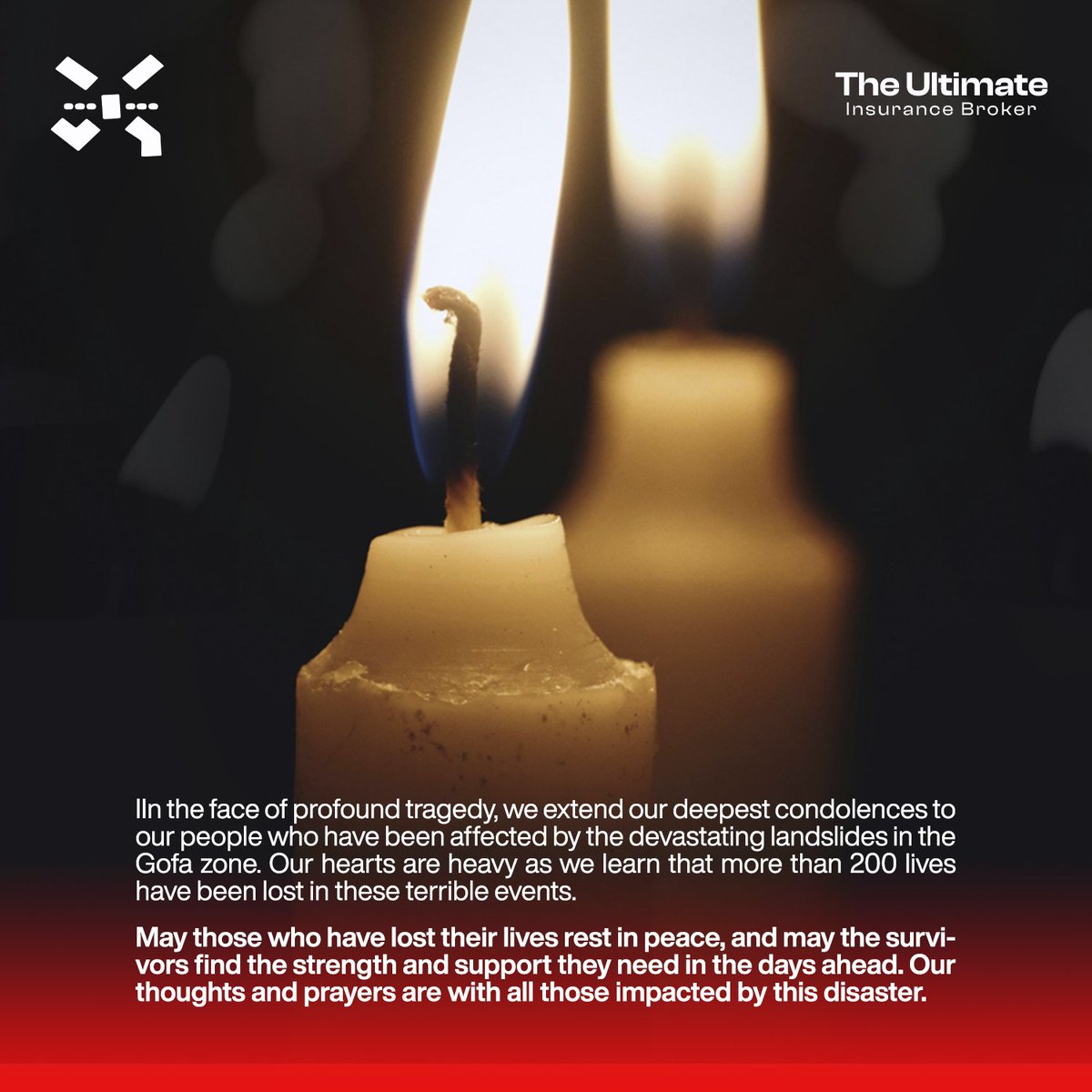 ultimate_broker's tweet photo. https://t.co/H5qorkwl2f