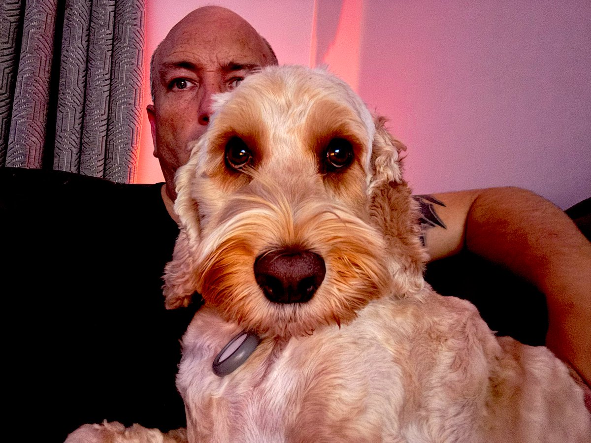 Andrew Ormerod (@andyormy) on Twitter photo Spent a full day discussing <a href="/cpdme/">CPD Portfolio Building - Made Easy</a> Strategy. Then Planning a night of relaxing and recharging. However CPD Henry just wants cuddles. Result, simply cuddles 😙 Spent a full day discussing <a href="/cpdme/">CPD Portfolio Building - Made Easy</a> Strategy. Then Planning a night of relaxing and recharging. However CPD Henry just wants cuddles. Result, simply cuddles 😙