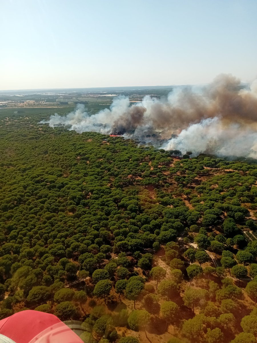 🗓️ 24/07/2024      🕗 17.52 h

🔴 ACTIVO | Incendio en #Cartaya, #Huelva
#IFCartaya, paraje Campo Común de Abajo.

MEDIOS:
🚁 1 semipesado, 1 ligero
🛩️ 2 carga en tierra
👩‍🚒 5 grupos bomberos forestales,  1 técnico operaciones, 1 agente medio ambiente
🚒 3 autobombas