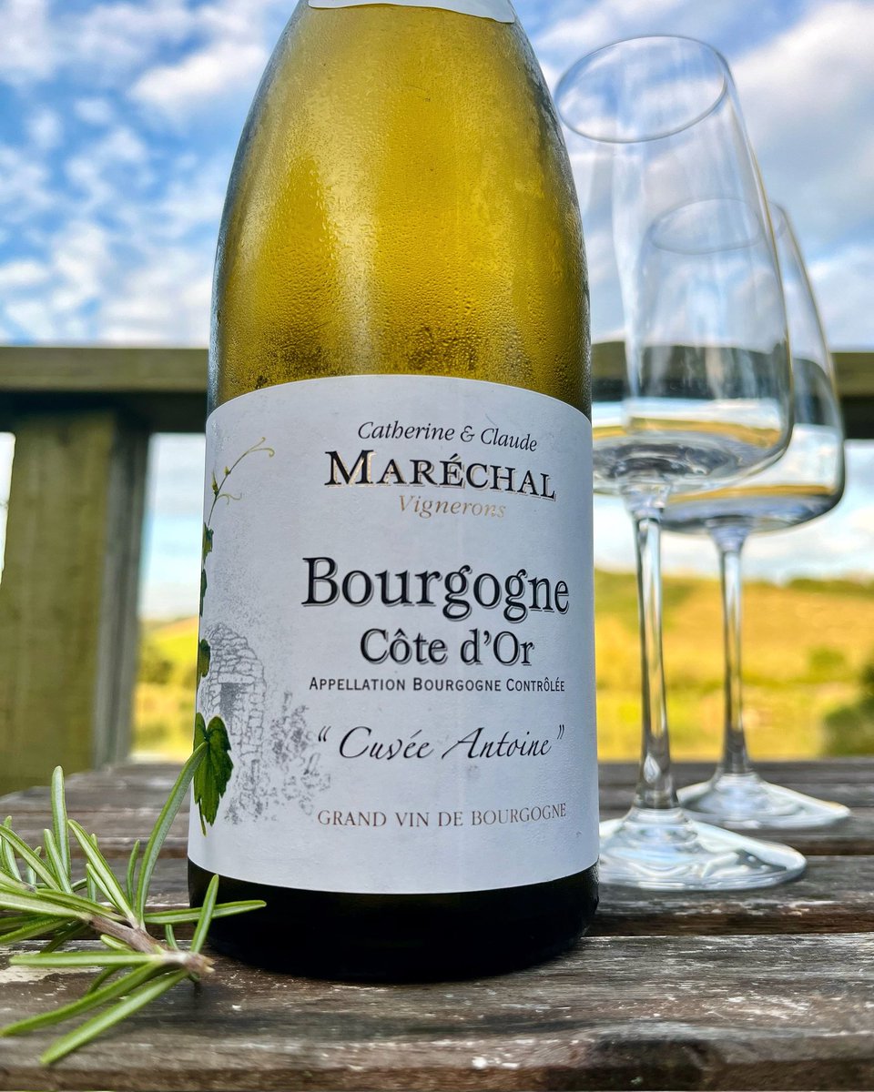 MrMrsFineWine's tweet image. A fine day deserves a fabulous wine! Our #MidweekPick from the Côte de Beaune received many compliments on its recent stint on our wine machine and we&apos;re not surprised! Sleek and vibrant with generous fruit, this #WhiteBurgundy is a real pleasure!! #WineWednesday @vindependents