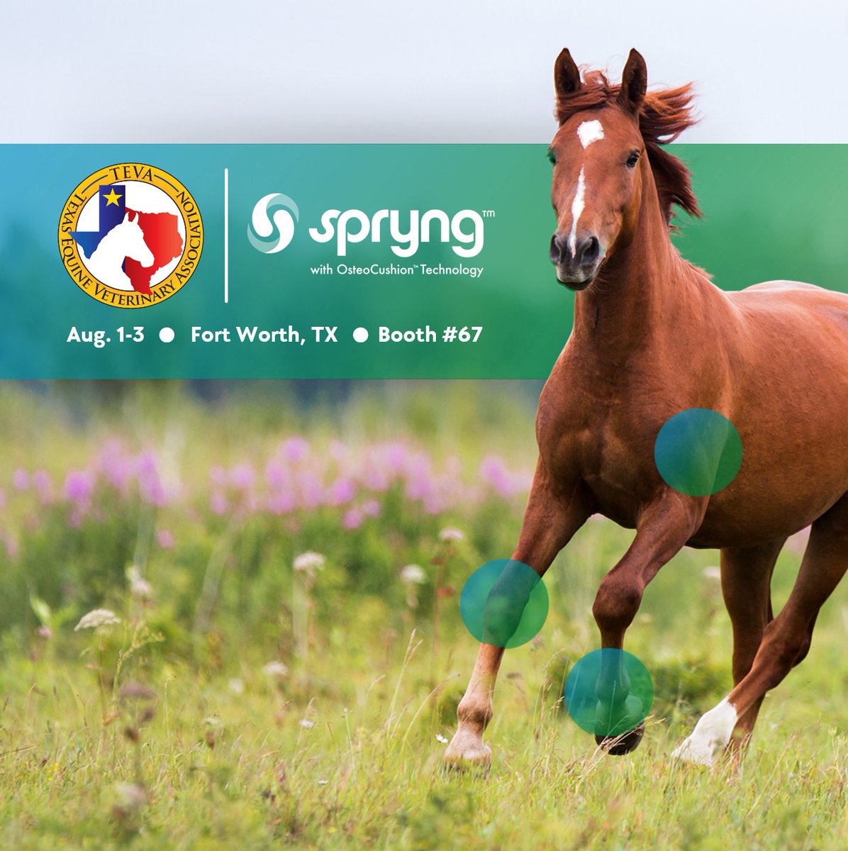 We're looking forward to seeing you at TEVA! Stop by our booth to learn more about how our innovative Spryng™  intra-articular injections fit into your multi-modal approach of addressing lameness and joint issues!