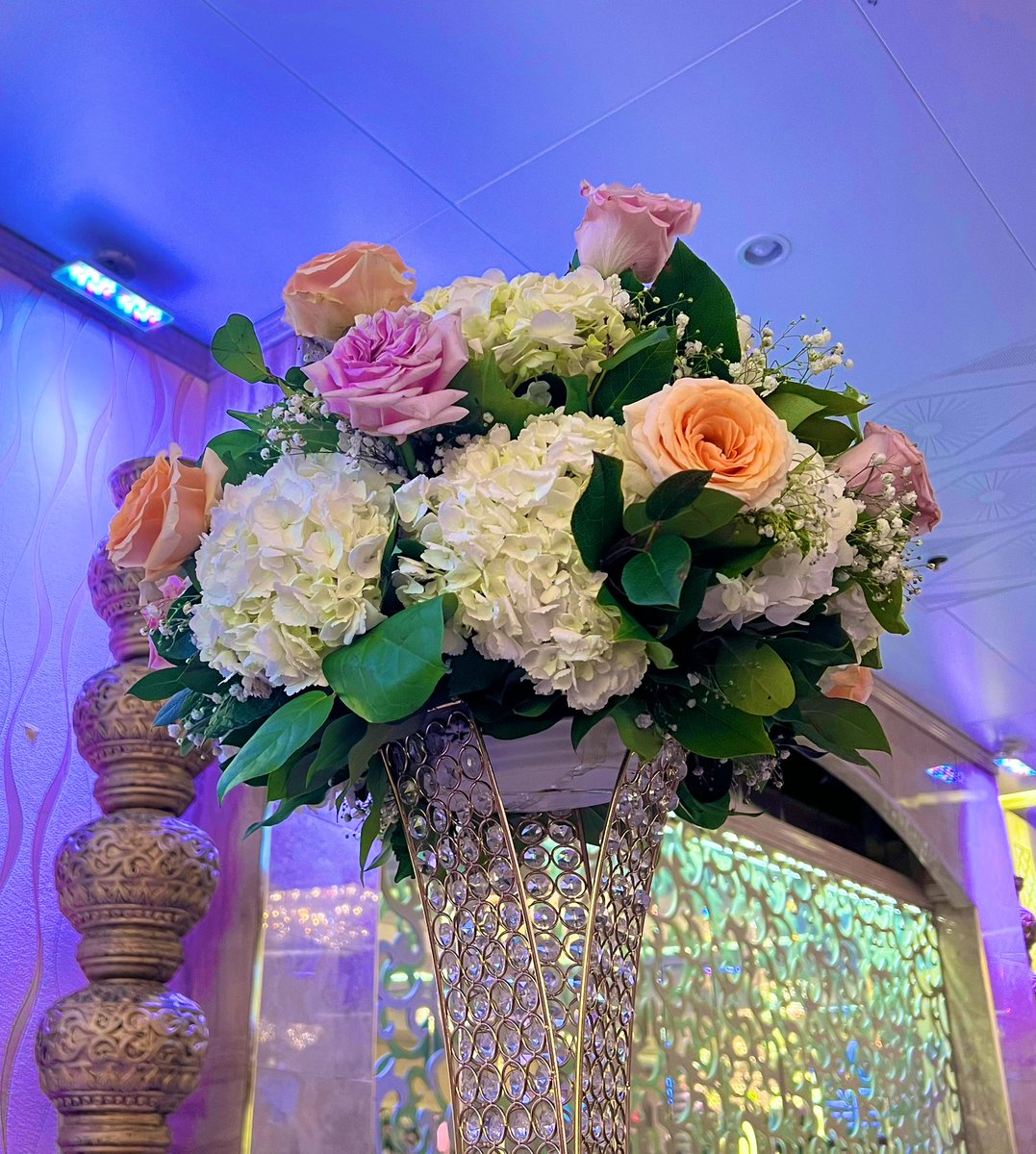 Elena🌸 tweet media