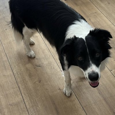JulyEU84's tweet photo. #NeuesProfilbild https://t.co/zHQOoYLbkD