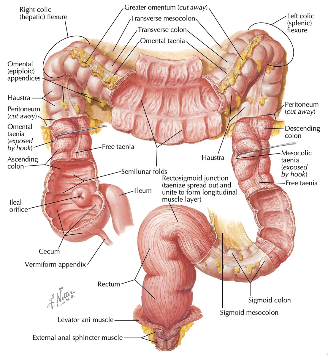 Keith Siau tweet media