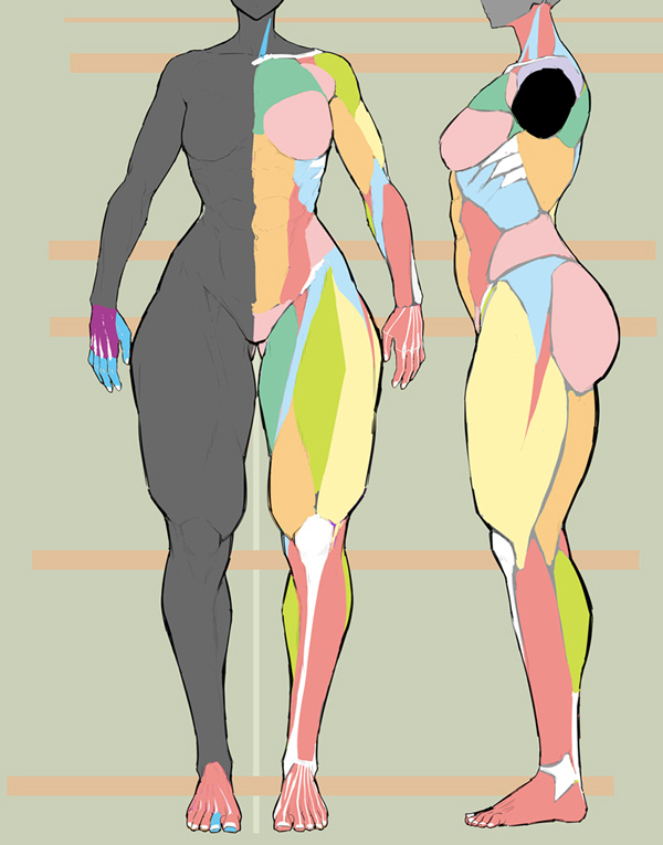 でかすぎ研究所では日々でかでか体型の描き方の研究が行われています 