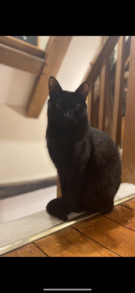 Victoria Robinson | FCIM tweet media