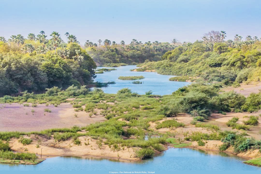 DpcSenegal's tweet photo. #Comité du patrimoine mondial 
Le parc national du Niokolo koba inscrit sur la Liste du patrimoine mondial en 1981, ensuite declaré site en péril en 2007, a été officiellement retiré aux cours des travaux du Comité du patrimoine mondial en cours à New Delhi. https://t.co/5XKsozlyjP