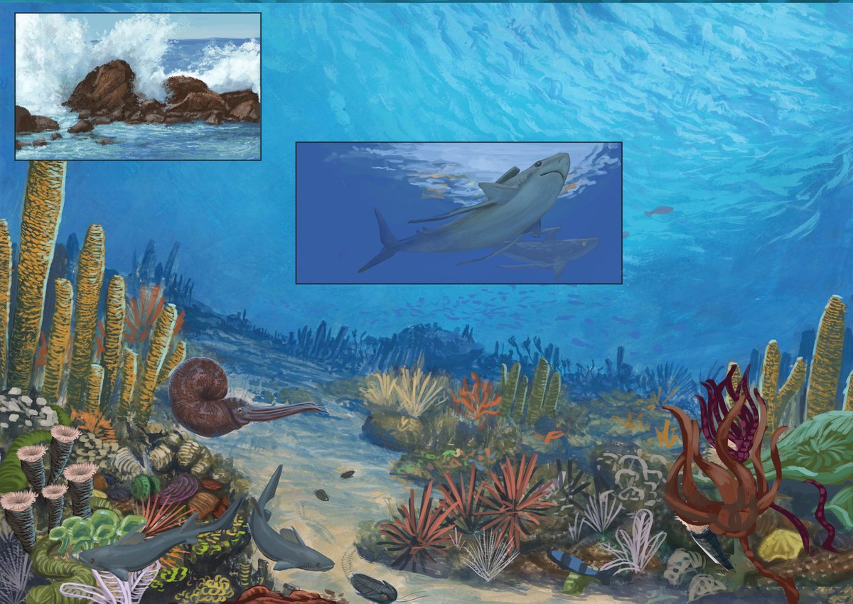 johnnykcage's tweet photo. Permian seafloor https://t.co/7JTD1y44TU