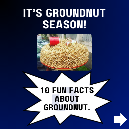 Turbomedics's tweet photo. What is Groundnut in your language?
Tell us below 👇
Like, Comment and Follow us for more 💙
#TurboMedics #Wellnessgoals #FunFacts #FunTips #Wednesdayvibes #HealthyGoals #Groundnut #Peanut #MonkeyNut #TurboMedicsFunFacts #Dangote #Trending https://t.co/zG3tpGU3kf