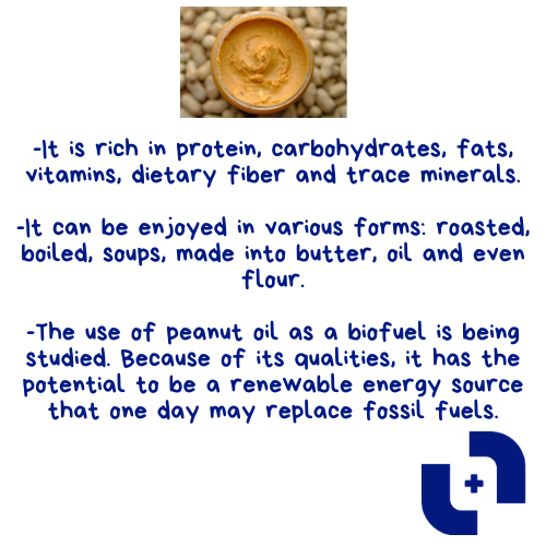 Turbomedics's tweet photo. What is Groundnut in your language?
Tell us below 👇
Like, Comment and Follow us for more 💙
#TurboMedics #Wellnessgoals #FunFacts #FunTips #Wednesdayvibes #HealthyGoals #Groundnut #Peanut #MonkeyNut #TurboMedicsFunFacts #Dangote #Trending https://t.co/zG3tpGU3kf