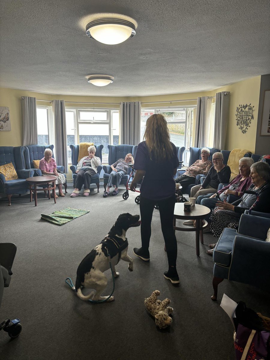 Max the therapy dog enjoying our company and playing games
#pettherapy
#dog