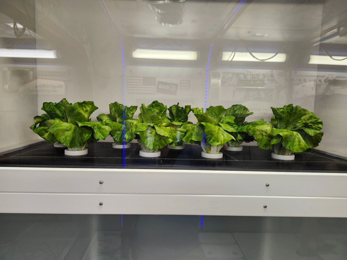 Andrew Jones tweet media