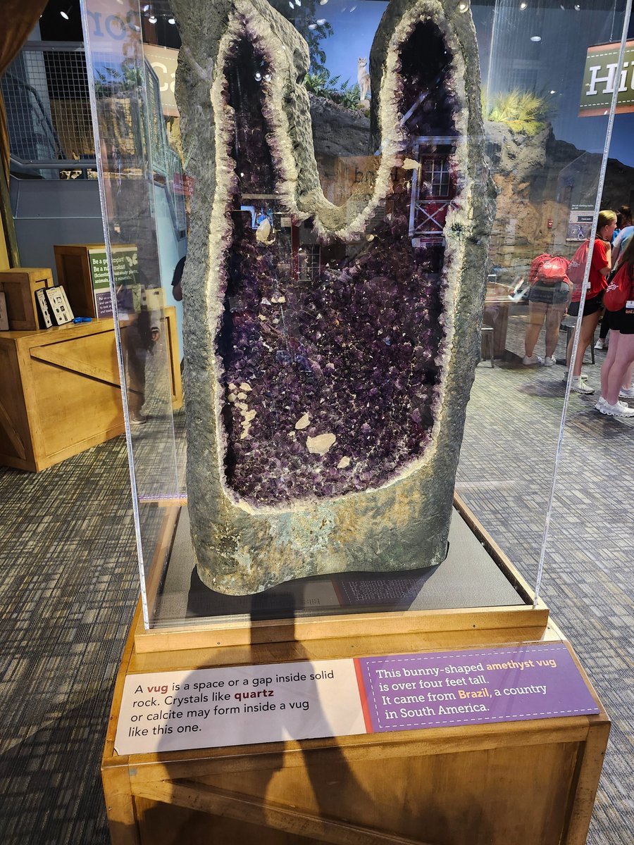 Andrew Jones tweet media