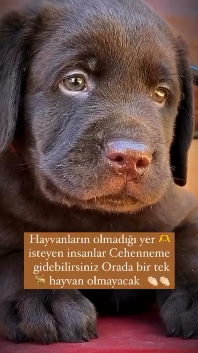 ÖzCe (@ozce1903) on Twitter photo 