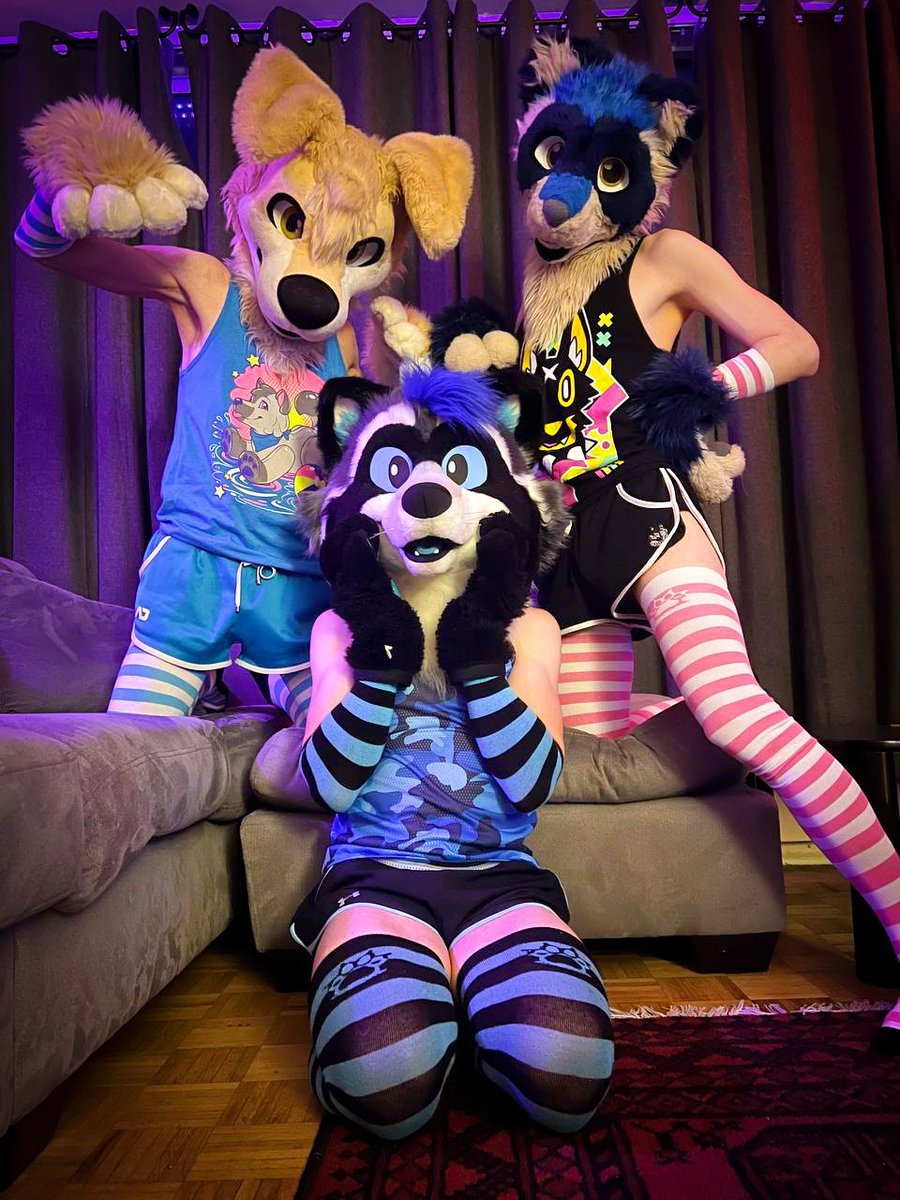 Streaming TONIGHT July 24th at 7:30PM EST 🐶🇨🇦🦝🇺🇸🦝

On tonight's episode we have a very special guest! 
Moxy and I have been showing Nite Canadian culture all week but I think we can squeeze a bit more into him! 
Tune in on Twitch for some fursuit fun and videogames 
🔗⬇️